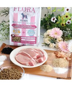 PET PARADISE ≪配合リニューアル≫ ペットパラダイス  国産 ドッグフード フローラ3kg