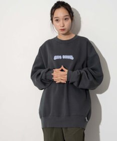 WEGO 【ユニセックス着用ITEM/MLサイズ展開/裏起毛】別注BENDAVISプランプロゴプルオーバー
