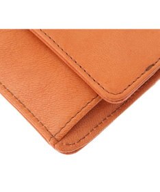 genten ゴートベーシック フラグメントケース