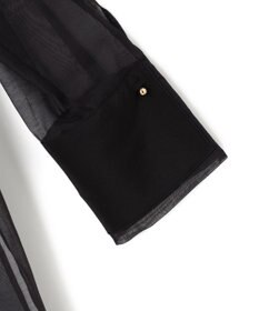 BEIGE， 【WEB限定】SAPHIR / シアーブラウス