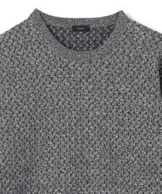 JOSEPH HOMME 【イージーケア】 ヴィスコースリンクス　クルーネックニット