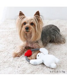 PET PARADISE ディズニー ロープ トイ 《ベイマックス》 小型犬