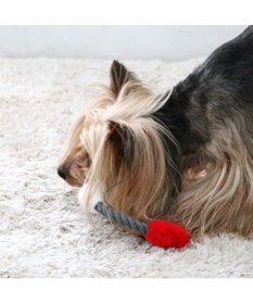 PET PARADISE ディズニー ロープ トイ 《ベイマックス》 小型犬