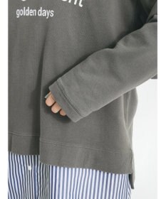 CRAFT STANDARD BOUTIQUE ミニ裏毛パウダー加工ＰＴ　Ｐ／Ｏ　Ｌ／Ｓ