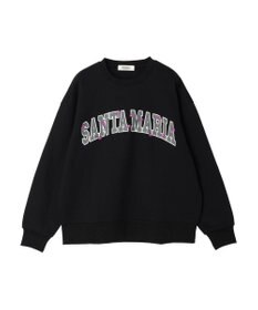 Green Parks ・Ｄｏｕｂｌｅ　Ｆｌａｇｓ　ロゴｐｔ＆刺繍スウェット