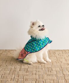 COQ PLAID ARGYLE ドッグポンチョ レインコート