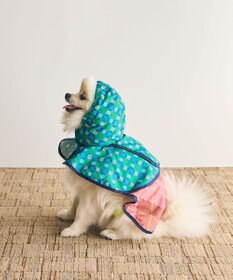 COQ PLAID ARGYLE ドッグポンチョ レインコート