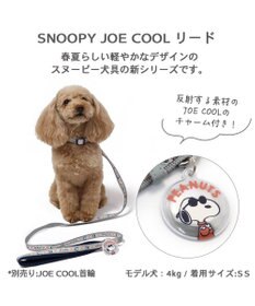 PET PARADISE 犬 スヌーピージョークール 反射 お揃いリード  【４Ｓ~３Ｓ】