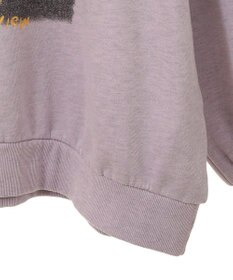 Green Parks ・ＤＯＵＢＬＥ　ＦＬＡＧＳ　フォトｐｔスウェット