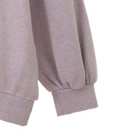 Green Parks ・ＤＯＵＢＬＥ　ＦＬＡＧＳ　フォトｐｔスウェット