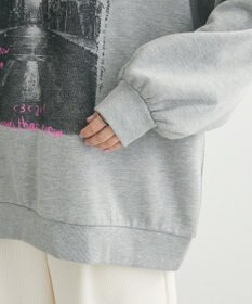 Green Parks ・ＤＯＵＢＬＥ　ＦＬＡＧＳ　フォトｐｔスウェット