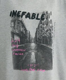 Green Parks ・ＤＯＵＢＬＥ　ＦＬＡＧＳ　フォトｐｔスウェット