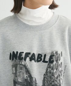 Green Parks ・ＤＯＵＢＬＥ　ＦＬＡＧＳ　フォトｐｔスウェット