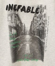 Green Parks ・ＤＯＵＢＬＥ　ＦＬＡＧＳ　フォトｐｔスウェット