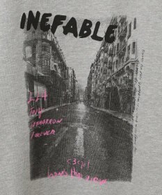 Green Parks ・ＤＯＵＢＬＥ　ＦＬＡＧＳ　フォトｐｔスウェット