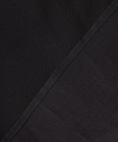 BEIGE， 【WEB限定】SAPHIR / シアーブラウス