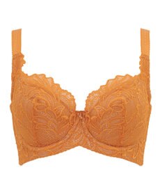 BRADELIS New York 【BRADELIS New York】サポートバックラインブラ23A1 グラマーバストをスッキリさせる補正ブラ