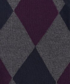 GOTAIRIKU 【家庭洗濯可能】イタリア糸 ハイゲージ ベスト