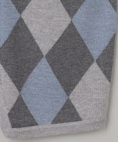 GOTAIRIKU 【家庭洗濯可能】イタリア糸 ハイゲージ ベスト