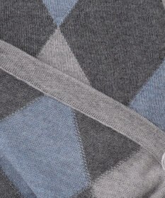 GOTAIRIKU 【家庭洗濯可能】イタリア糸 ハイゲージ ベスト