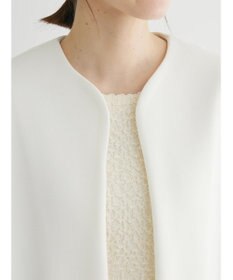 Green Parks ノーカラーポンチジャケット