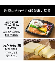 YAMATO テーブル＆キッチン 【TWINBIRD】電子レンジ  ホワイト  DR-D419W6 (60Hz：西日本にお住まいの方用)