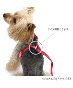 PET PARADISE ペットパラダイス ハーネス＆リード スカラップカラー《いちご柄》 ４Ｓ / ３Ｓ 小型犬