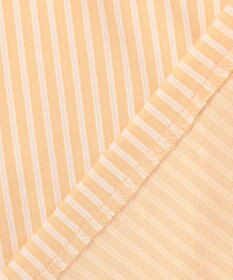 J.PRESS LADIES Jカミーチェストライプ クルーネック カットソー