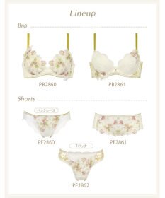 Wing ブラジャー Wing Lesiage ふっくら、まる胸メイク 背中にやさしくフィット 【2860シリーズ】 パッド有 ブラ PB2860 ウイング／ワコール