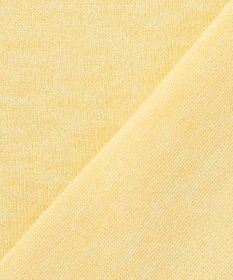 J.PRESS LADIES 【WEB限定カラーあり・洗える】Vis/Peスパーク ラメ ニット