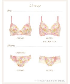 Wing ブラジャー 小さく見せるブラ Wing Lesiage 脇すっきり 背中すっきり 【2900シリーズ】 ブラ PB2901 ウイング／ワコール