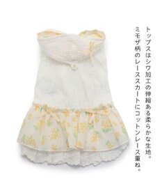 PET PARADISE 犬の服 犬 ワンピース 【小型犬】 ミモザ ホワイト グリーン