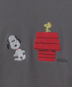 Green Parks ■ＰＥＡＮＵＴＳ　クロスステッチロンＴ