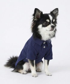 OP／FILA 【Ocean Pacific】ポロシャツ風ドッグウェア ペットウェア