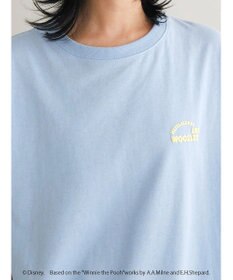 Green Parks Ｗｉｎｎｉｅ　ｔｈｅ　Ｐｏｏｈ／バックプリントＴＥＥ