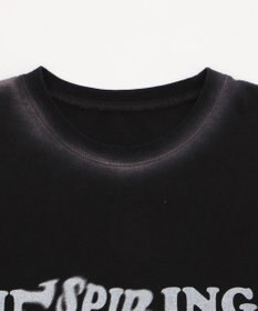 WEGO スプレーグラフィックBIGT