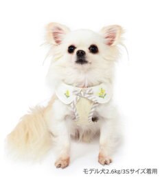 PET PARADISE ペットパラダイス ベストハーネス  ミモザ【ＳＳ】 小型犬