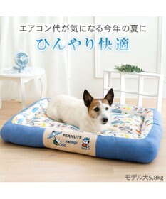 PET PARADISE スヌーピー クール 四角カドラー 《サマーバケーション柄》 Ｌ