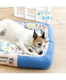 PET PARADISE スヌーピー クール 四角カドラー 《サマーバケーション柄》 Ｌ