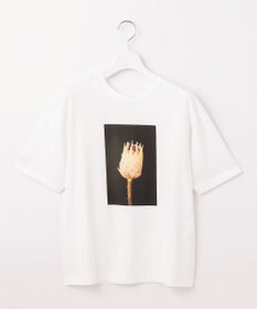 自由区 【カタログ掲載・洗える】PHOTO Tシャツ
