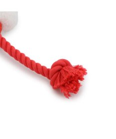 PET PARADISE スヌーピー 75周年 ロープトイ  小型犬