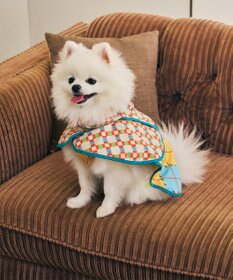 COQ PLAID ARGYLE ドッグポンチョ レインコート