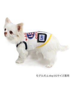 PET PARADISE Lee エコメッシュ カレッジ タンクトップ 小型犬