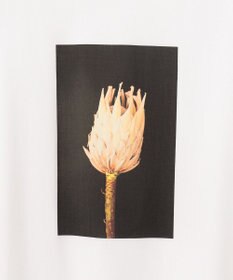 自由区 【カタログ掲載・洗える】PHOTO Tシャツ