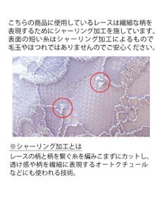 BRADELIS New York 【BRADELIS New York/コンパクト補整】サポートバックラインブラ23S1 グラマーさん向け 脇や背中をスッキリさせる補正ブラ