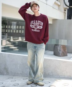 WEGO 【ユニセックス着用ITEM/SMLサイズ展開】ジャガードグラフィックプルオーバー