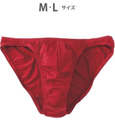 WACOAL MEN ブリーフ フロント立体設計 快適キープ 適度なフィット感 前閉じ ボーダー 下着 GF2401 /ブロス