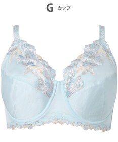 Wing ブラジャー Wing Lesiage 安定感のあるつけごこち 綿混素材(肌側) 【5010シリーズ】 フルカップブラ Hカップまで対応 大きいサイズ PB5010 ウイング／ワコール