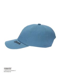 Green Parks ■ＰＥＡＮＵＴＳ　刺繍ＣＡＰ