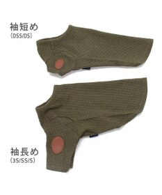 PET PARADISE J.PRESS ワッフル Tシャツ 【小型犬】